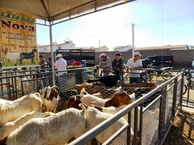 Fronteiras realiza com sucesso o 1º Front Berro - Imagem 1