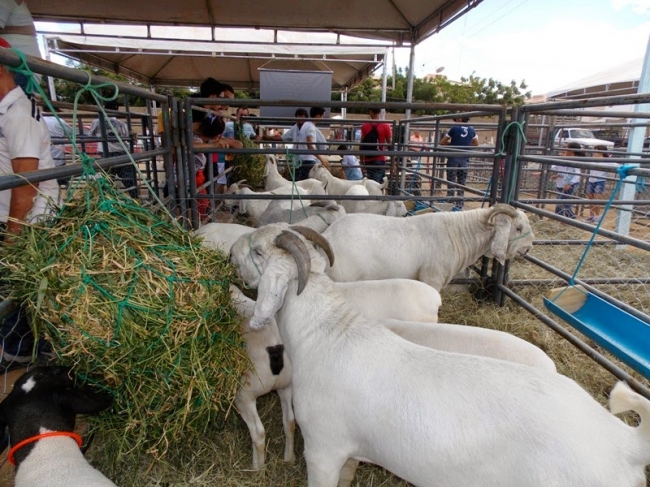 Fronteiras realiza com sucesso o 1º Front Berro - Imagem 7