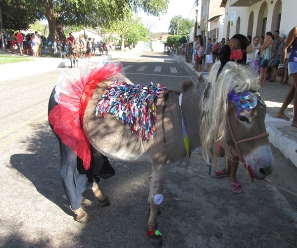XXIV Semana Cultural: Corrida de Jegue - Imagem 32