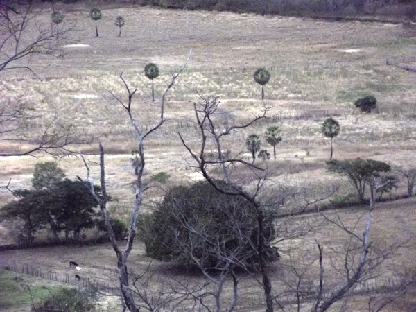 Grupo do terço dos homens de São João da Varjota completa nove anos de fundação - Imagem 61