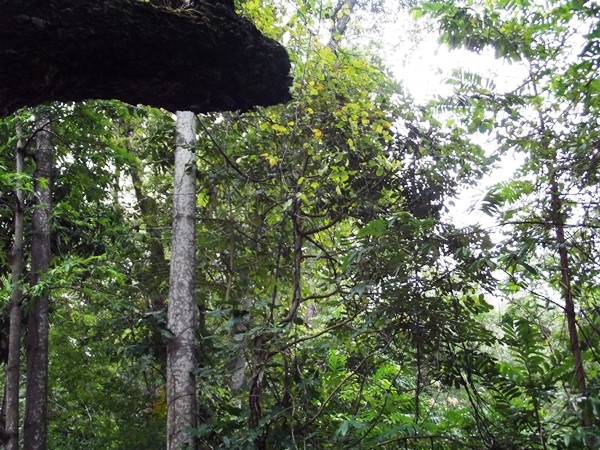 Grupo do terço dos homens de São João da Varjota completa nove anos de fundação - Imagem 6