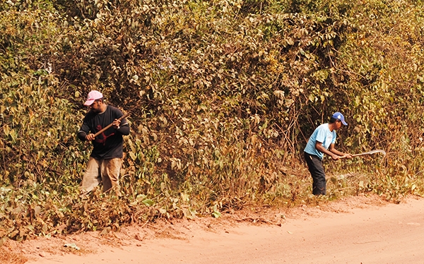 Prefeitura de Cocal initensifica os serviços de recuperação e roço das estradas vicinais - Imagem 1