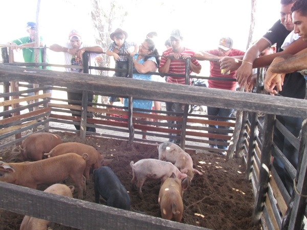 XXIV Semana Cultural: Cavalgada dos Vaqueiros - Imagem 61