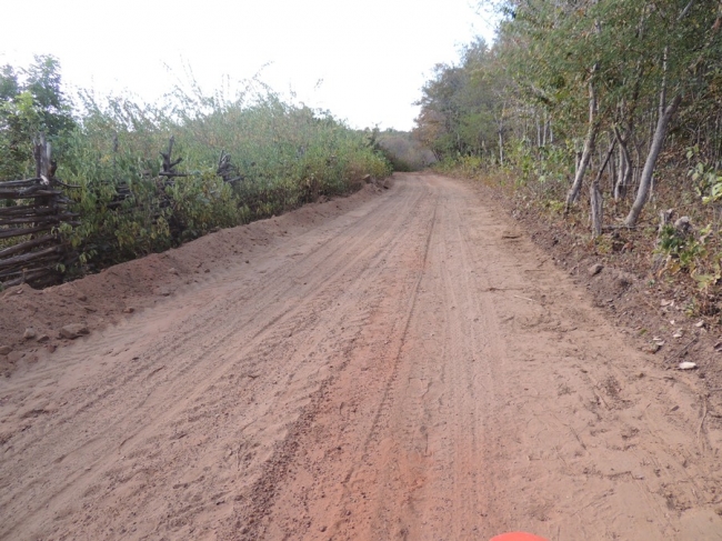 Prefeitura recupera estrada da região da Palmeira dos Soares - Imagem 12