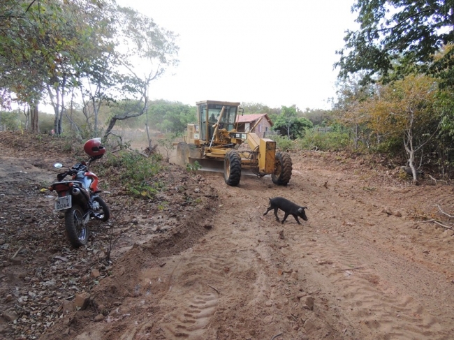 Prefeitura recupera estrada da região da Palmeira dos Soares - Imagem 11