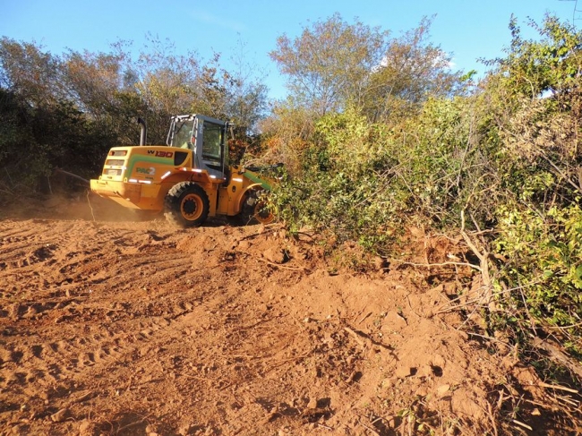 Prefeitura recupera estrada da região da Palmeira dos Soares - Imagem 4