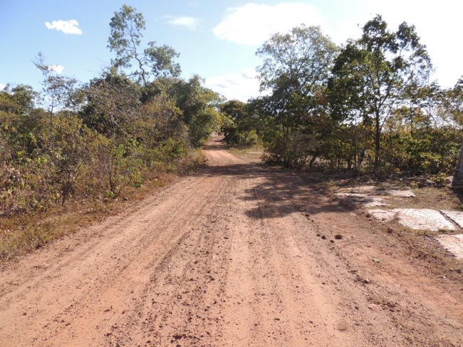Prefeitura recupera estrada da região da Palmeira dos Soares - Imagem 18