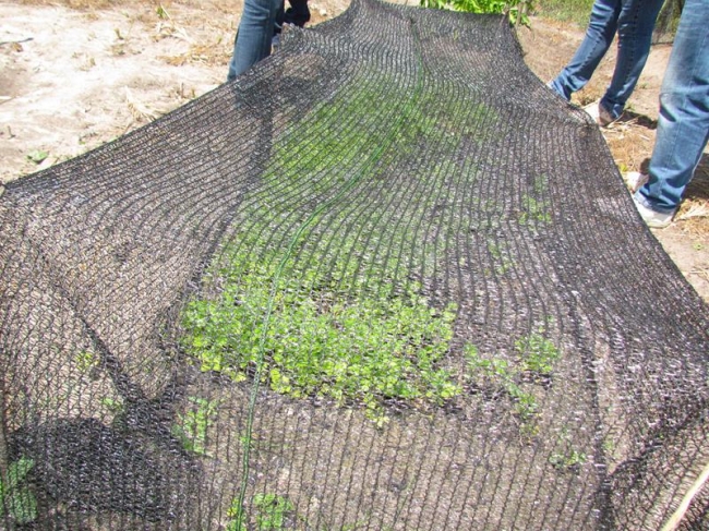 Localidades recebem visita do Prefeito Edílson Capote - Imagem 8