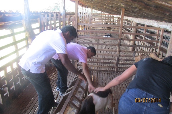 Manin Geronço leva piscicultores e agricultores para aula de campo em Esperantina - Imagem 8