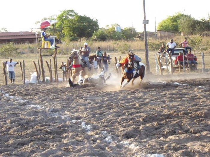 É o Boi, o Cavalo e o Vaqueiro. Derruba do Boi na Vaquejada do Parque Benecarmo - Imagem 61