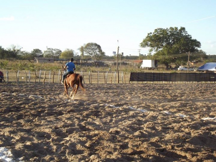 É o Boi, o Cavalo e o Vaqueiro. Derruba do Boi na Vaquejada do Parque Benecarmo - Imagem 25