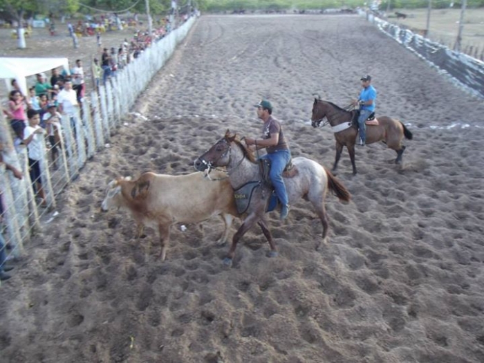 É o Boi, o Cavalo e o Vaqueiro. Derruba do Boi na Vaquejada do Parque Benecarmo - Imagem 40