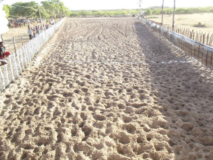 É o Boi, o Cavalo e o Vaqueiro. Derruba do Boi na Vaquejada do Parque Benecarmo - Imagem 23