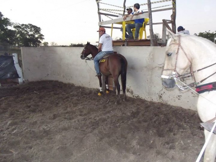 1° Dia de Vaquejada do Parque Benecarmo. Confira os Flashs! - Imagem 33