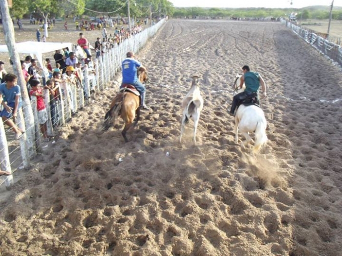 É o Boi, o Cavalo e o Vaqueiro. Derruba do Boi na Vaquejada do Parque Benecarmo - Imagem 12