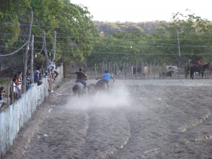 É o Boi, o Cavalo e o Vaqueiro. Derruba do Boi na Vaquejada do Parque Benecarmo - Imagem 26