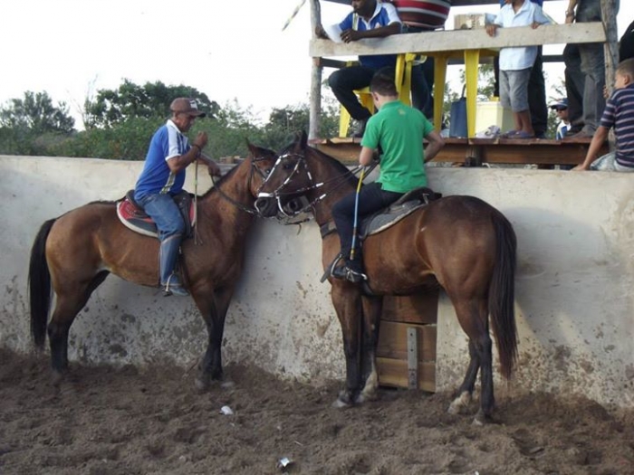 É o Boi, o Cavalo e o Vaqueiro. Derruba do Boi na Vaquejada do Parque Benecarmo - Imagem 20