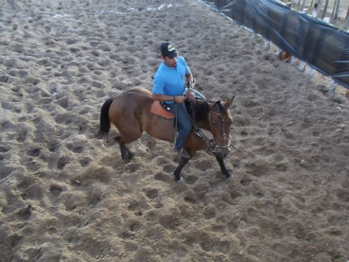 É o Boi, o Cavalo e o Vaqueiro. Derruba do Boi na Vaquejada do Parque Benecarmo - Imagem 11