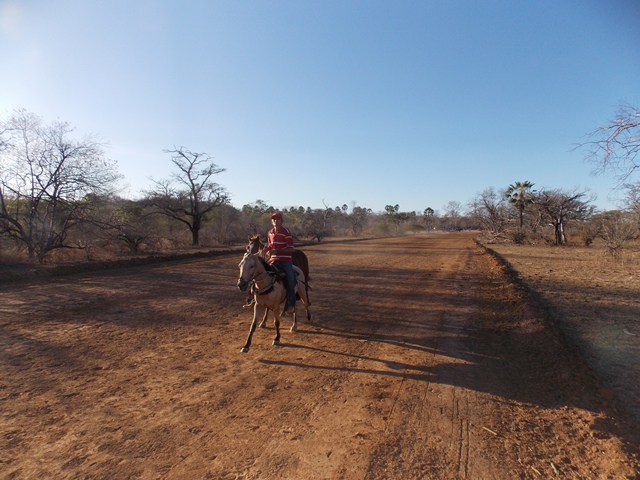 Prefeito Dr. Francisco participa da tradicional festa dos vaqueiros da localidade Jacaré - Imagem 6