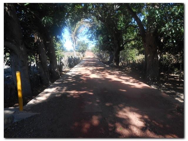 Prefeito Dr. Moura e equipe de trabalho inaugura canteiro de obras no Forte - Imagem 46