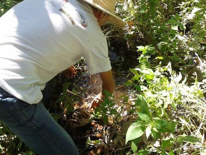 SEMAPE desenvolve ações de preservação ambiental na zona rural - Imagem 5