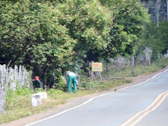 Prefeitura de Esperantina realiza serviço de limpeza e capina no povoado Lagoa Seca - Imagem 5
