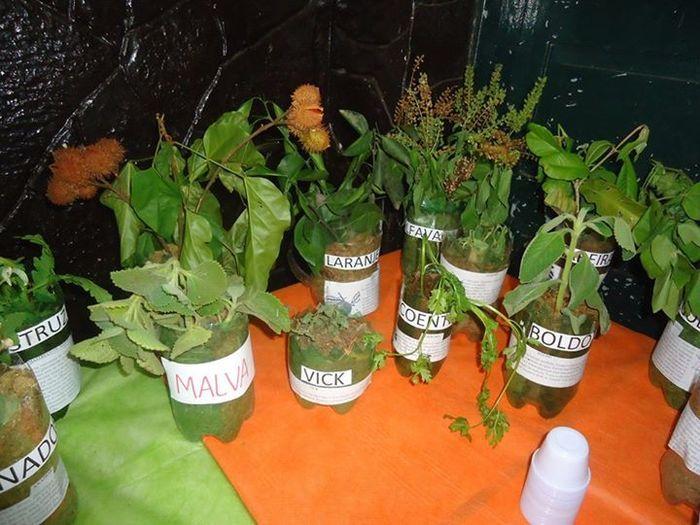 Professores realizam culminância com ‘Projeto Tradições Populares Folclóricas’ - Imagem 18