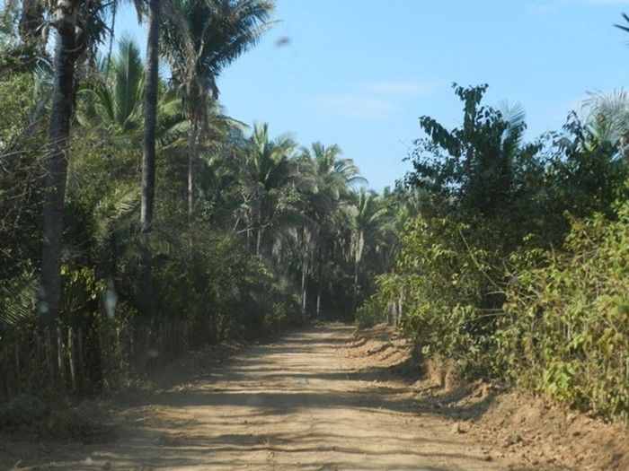 Prefeitura recupera estradas da comunidade Vassouras  - Imagem 4