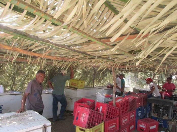 Prefeito: Joel de Lima Faz Grande Corrida de Cavalo em Miguel Leão - Imagem 16