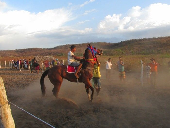 Prefeito: Joel de Lima Faz Grande Corrida de Cavalo em Miguel Leão - Imagem 5