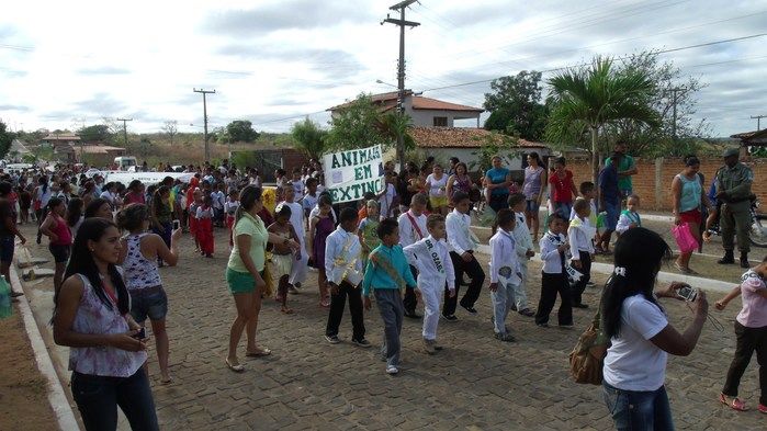 Público prestigia Desfile Cívico de 7 de setembro em Francinópolis - Imagem 19