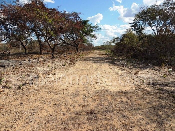 Loteamento Jardim Violante oportunidade de morar bem - Imagem 5