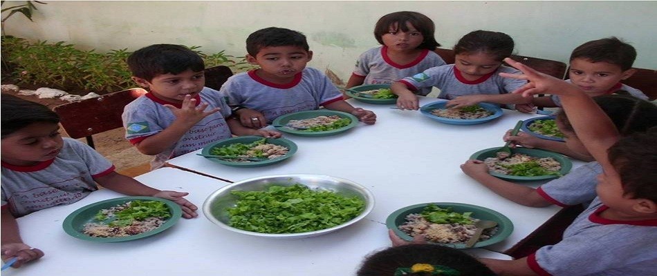  Merenda escolar de qualidade é prioridade em Pedro II