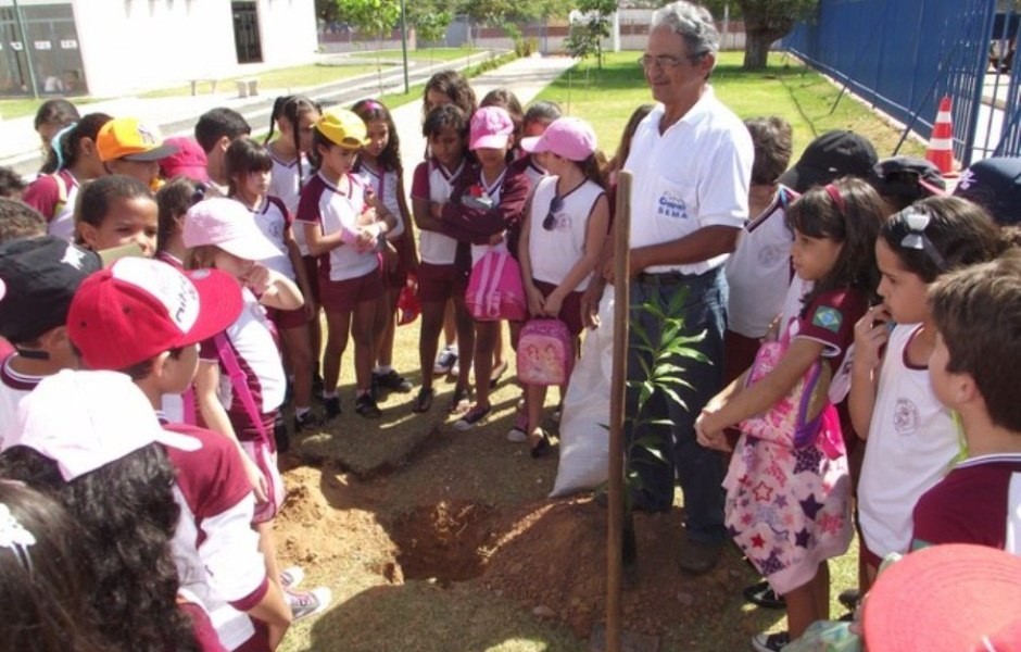 Praça de Eventos de Oeiras deve receber Ipês-rosa