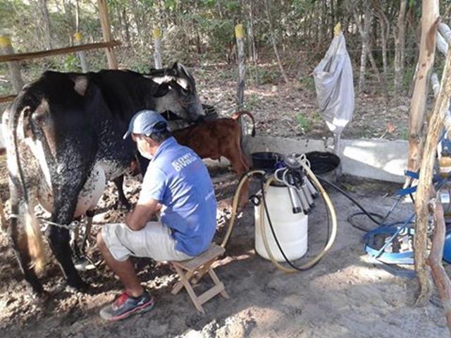 Festa do Bode de Batalha 2014 consolidada como a maior de todas as edições já realizadas‏ - Imagem 9