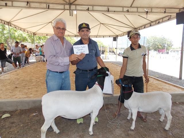 Festa do Bode de Batalha 2014 consolidada como a maior de todas as edições já realizadas‏ - Imagem 32