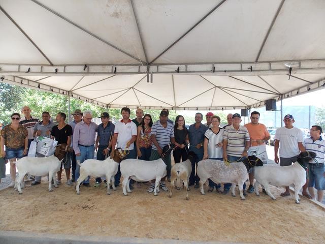 Festa do Bode de Batalha 2014 consolidada como a maior de todas as edições já realizadas‏ - Imagem 33