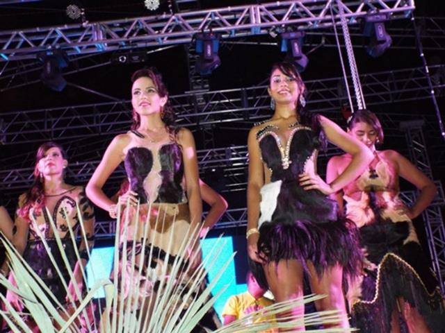 Festa do Bode de Batalha 2014 consolidada como a maior de todas as edições já realizadas‏ - Imagem 13