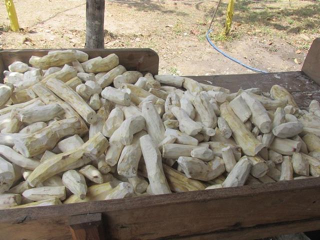 Festa do Bode de Batalha 2014 consolidada como a maior de todas as edições já realizadas‏ - Imagem 55