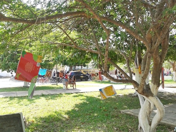 3ª Edição do projeto:  “Um poema em cada árvore“ - Imagem 3