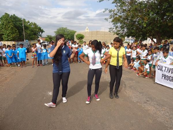 Alunos Realizaram Caminhada Cívica  - Imagem 121