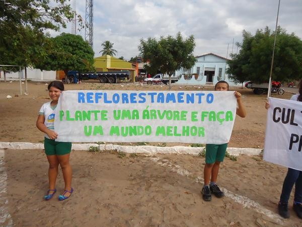 Alunos Realizaram Caminhada Cívica  - Imagem 101