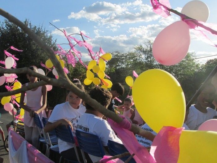 Rede de Ensino Estadual e Municipal leva 1.326 Alunos para desfilar no 7 de Setembro em Agricolândia - Imagem 9