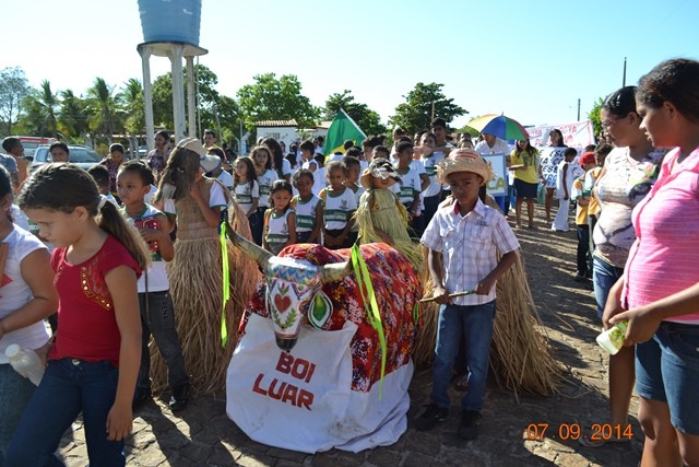 Desfile cívico do 7 de setembro realizado pela prefeitura de Boa Hora foi um sucesso - Imagem 10