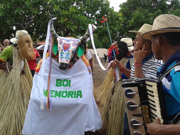 Reisado: mais cinco Grupos de Reisados de Boa Hora realizaram seus ensaios hoje. - Imagem 11