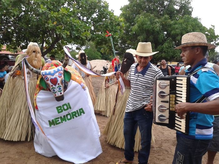 Reisado: mais cinco Grupos de Reisados de Boa Hora realizaram seus ensaios hoje. - Imagem 9