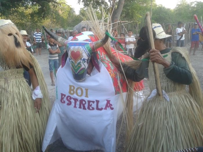 Começa, em Boa Hora, o maior Reisado do Brasil - Imagem 23
