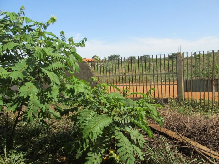 Prefeito Walter Alencar Espera Resposta do FNDE para Terminar a Construção da Creche do Conjunto N. Horizonte com Recurso Próprio do Tesouro Municipal - Imagem 24