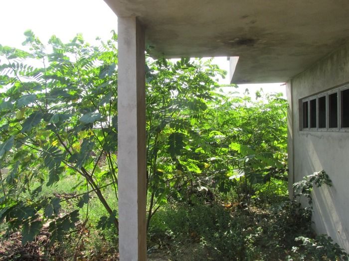 Prefeito Walter Alencar Espera Resposta do FNDE para Terminar a Construção da Creche do Conjunto N. Horizonte com Recurso Próprio do Tesouro Municipal - Imagem 23