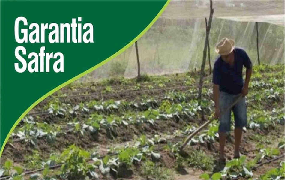 Trezentos agricultores são cadastrados no Garantia Safra